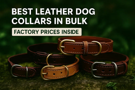 Best leather dog collars in bulk with custom OEM options, low MOQs, and fast global shipping from SKS Wholesales