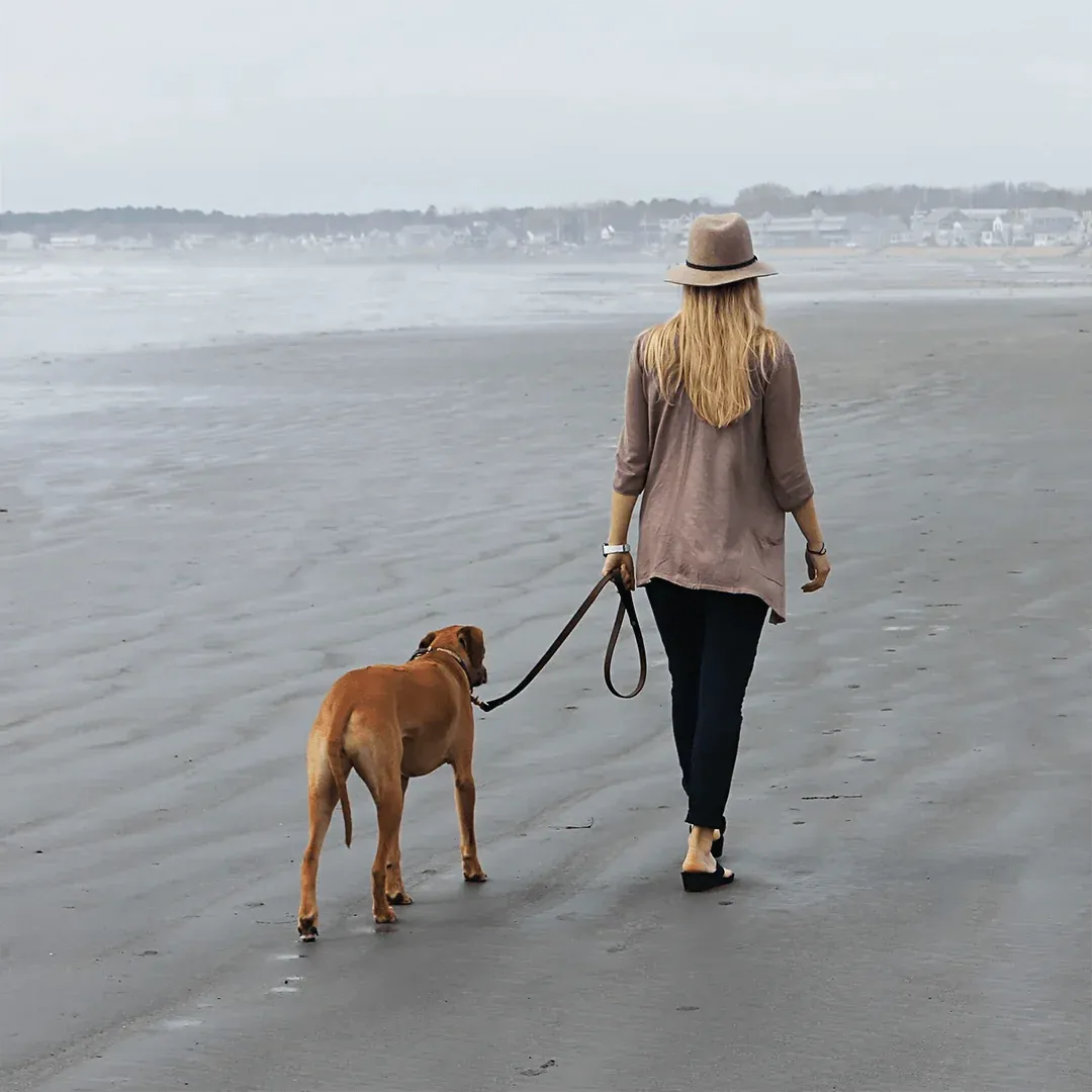 Woman walking a dog on a beach