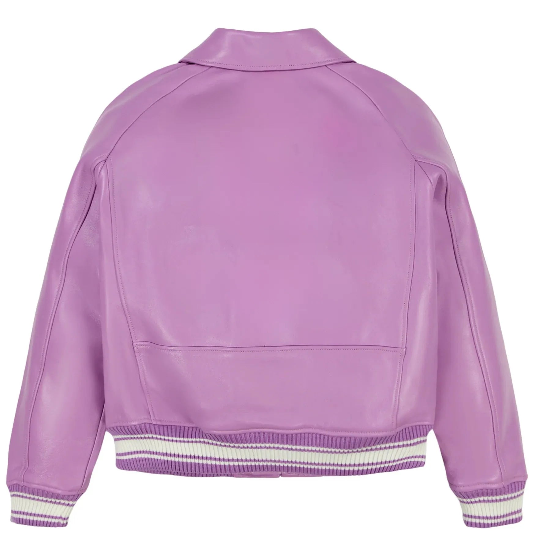 Back of Wholesale Avirex Icon Leather Jacket