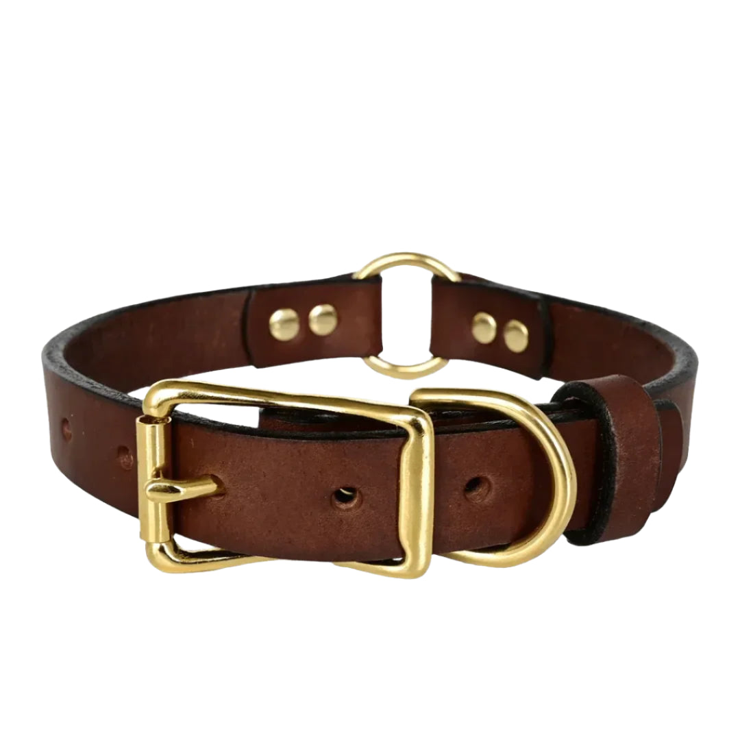 Brown leather dog collar with gold hardware on a white background