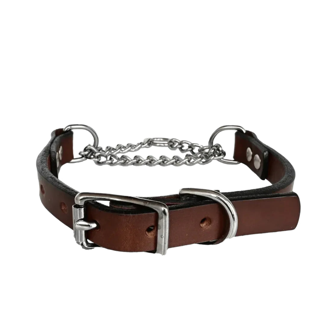 Brown leather dog collar with silver chain and buckle on a white background