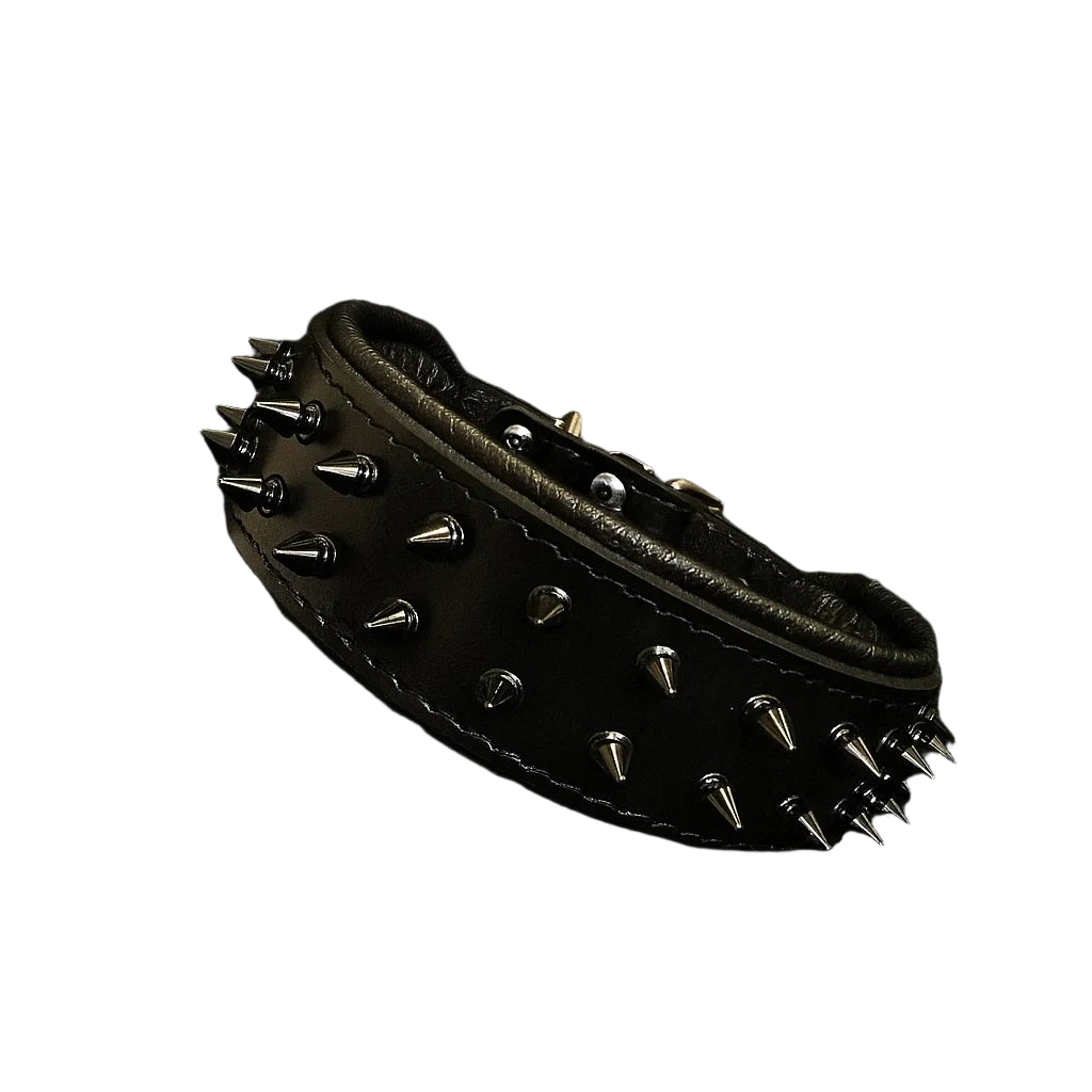 Black leather collar with spikes on a dark background