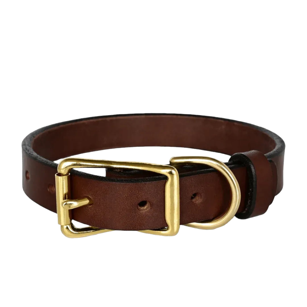 Brown leather dog collar with a gold buckle on a white background