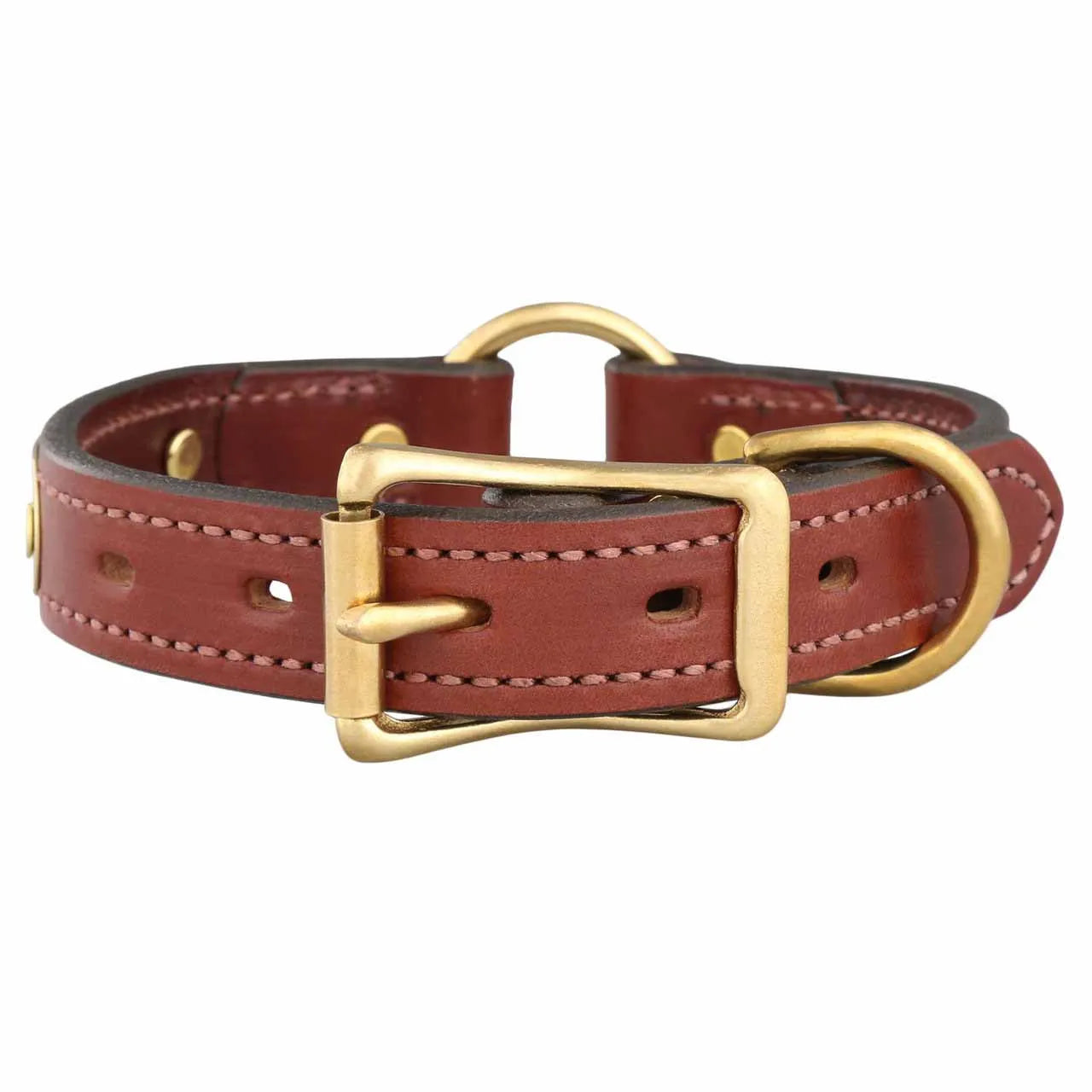Brown leather dog collar with gold buckle on a white background