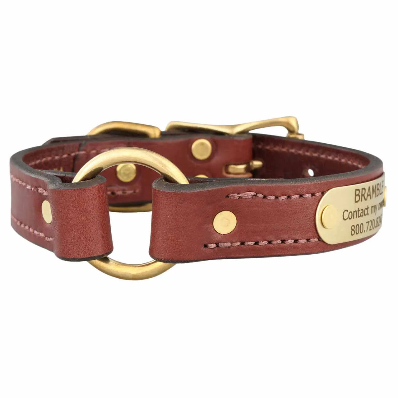 Brown leather dog collar with gold hardware on a white background