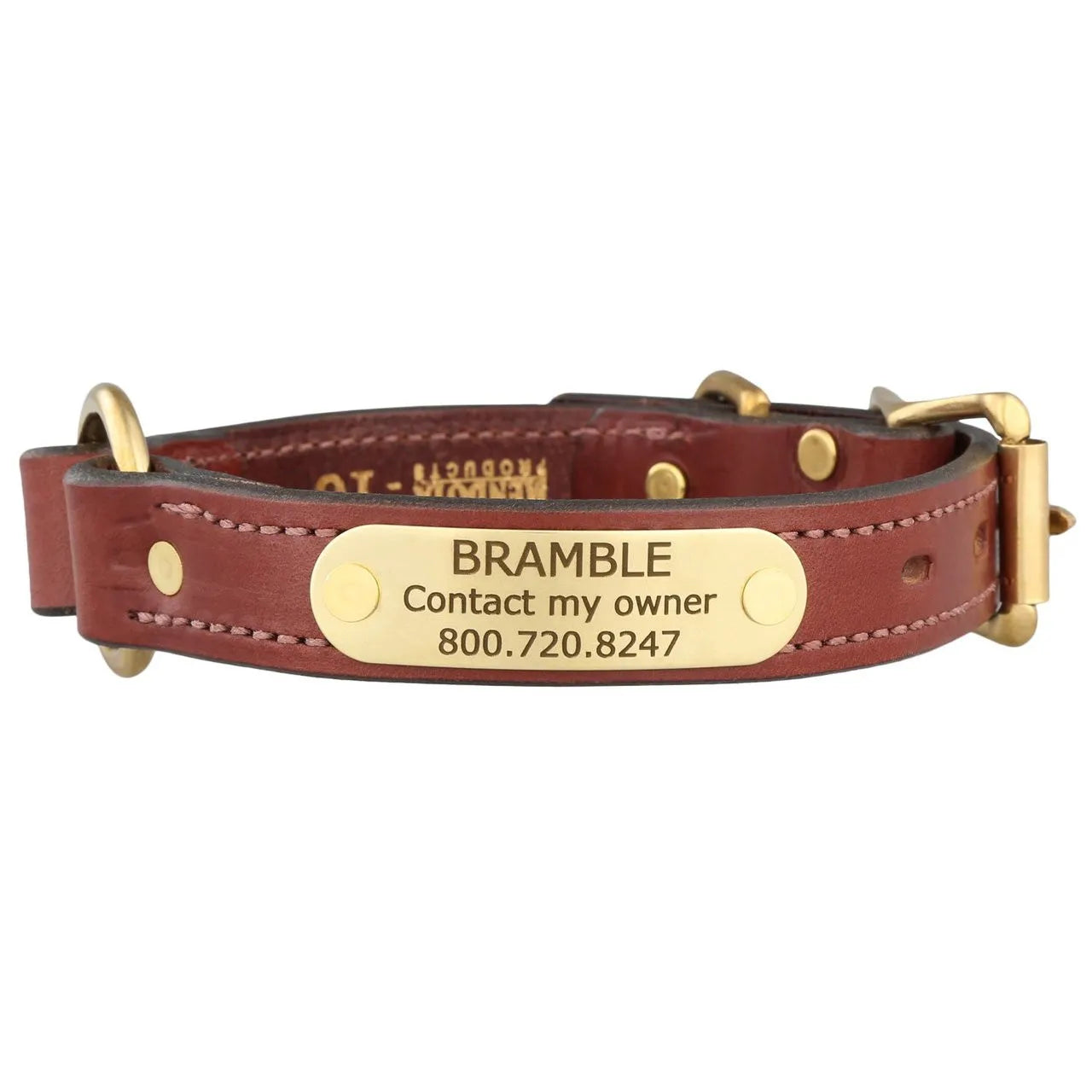 Brown leather dog collar with gold nameplate on a white background