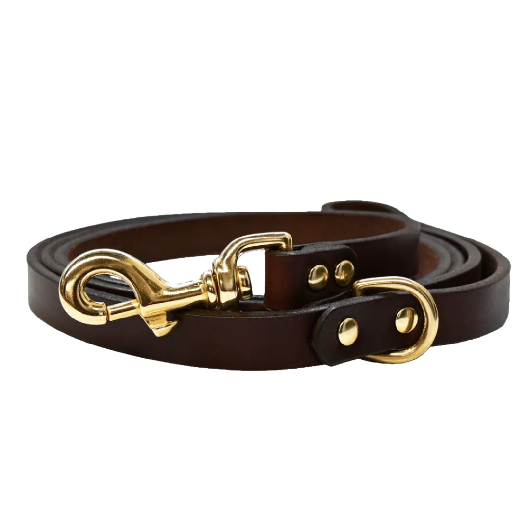 Brown leather dog leash with gold clasp on a white background