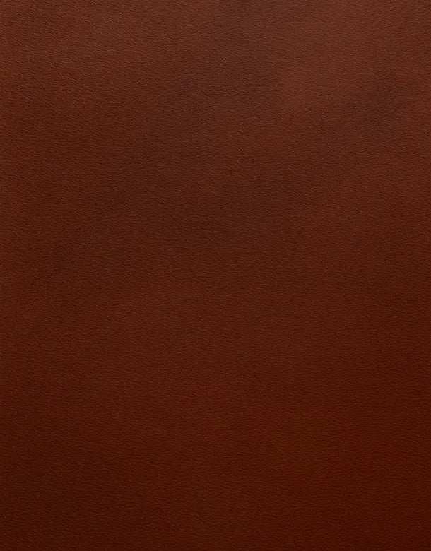 Solid brown color swatch