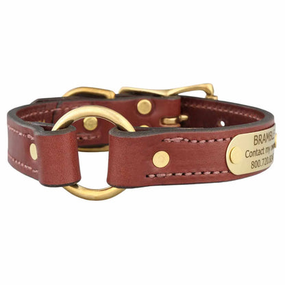 Brown leather dog collar with gold hardware on a white background